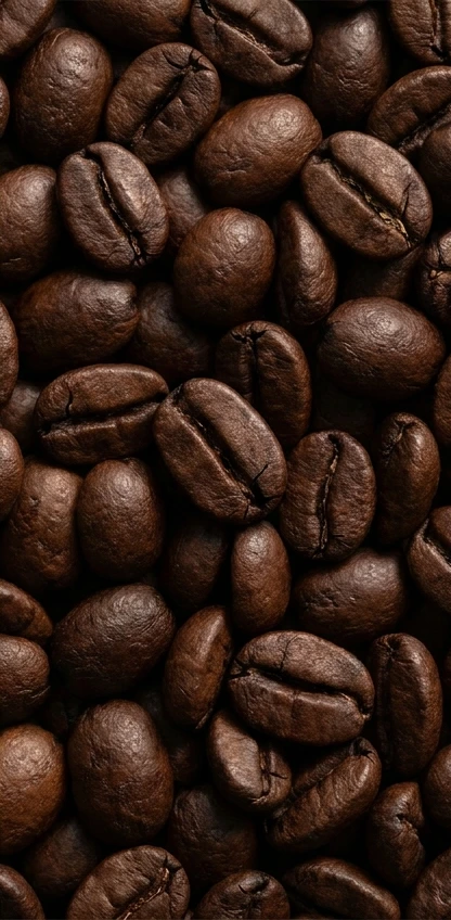 A close-up of roasted coffee beans